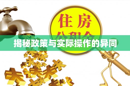 沣东揭秘政策与实际操作的异同