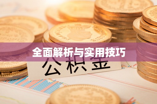 沣东全面解析与实用技巧
