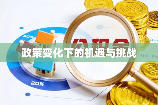 沣东政策变化下的机遇与挑战