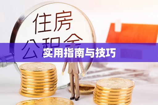 沣东实用指南与技巧