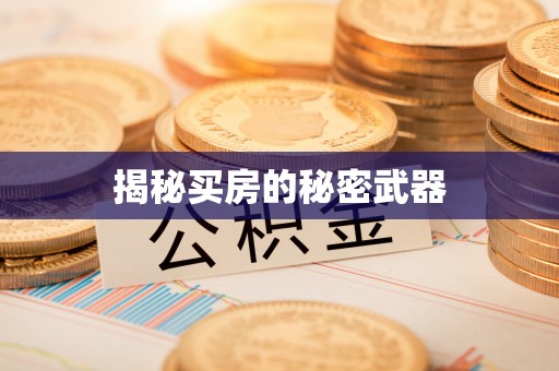 沣东揭秘买房的秘密武器