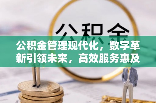 沣东公积金管理现代化，数字革新引领未来，高效服务惠及民生