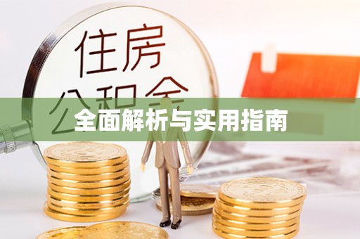 沣东全面解析与实用指南