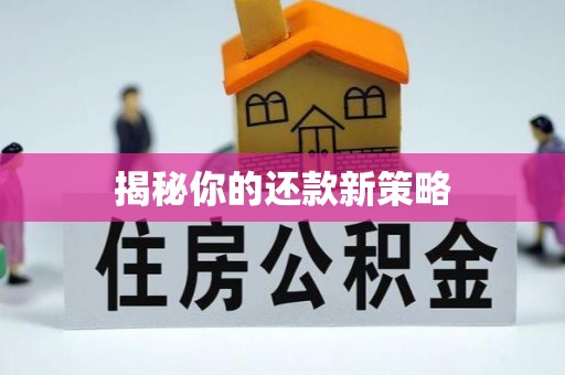 沣东揭秘你的还款新策略