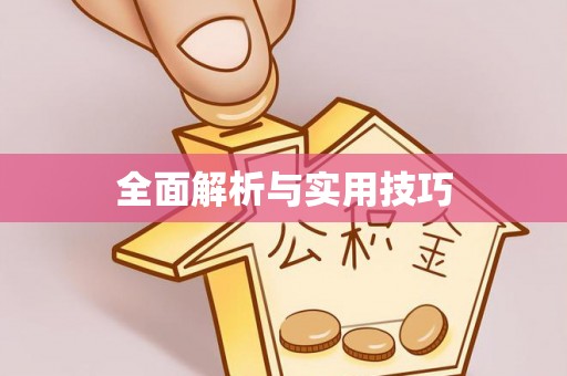 沣东全面解析与实用技巧