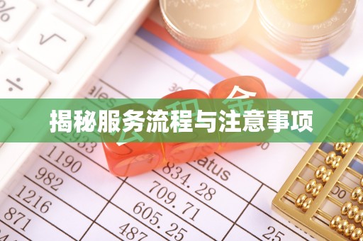 沣东揭秘服务流程与注意事项