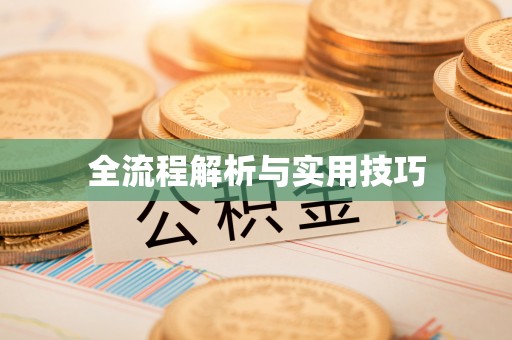 沣东全流程解析与实用技巧