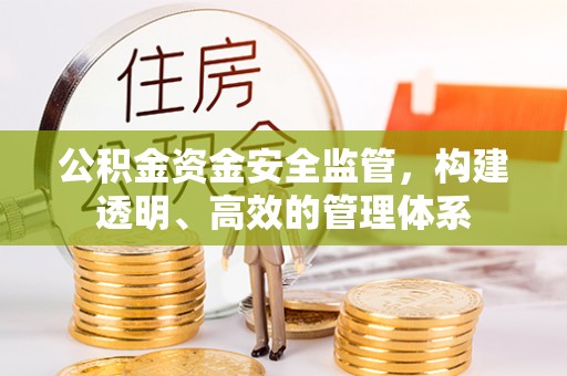 沣东公积金资金安全监管，构建透明、高效的管理体系