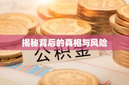 沣东揭秘背后的真相与风险