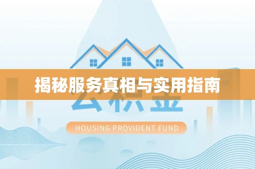 沣东揭秘服务真相与实用指南