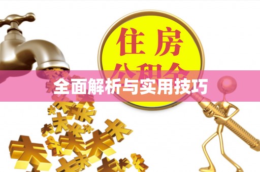 沣东全面解析与实用技巧