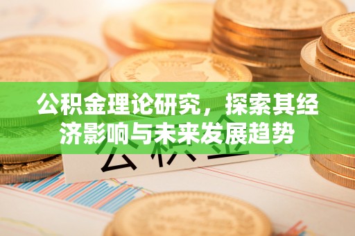 沣东公积金理论研究，探索其经济影响与未来发展趋势