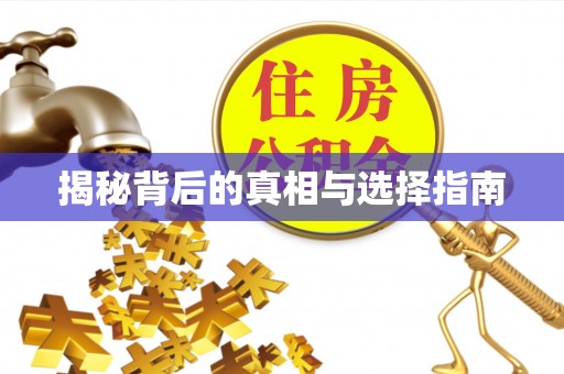 沣东揭秘背后的真相与选择指南