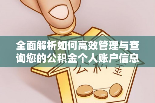 沣东全面解析如何高效管理与查询您的公积金个人账户信息