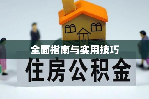 沣东全面指南与实用技巧