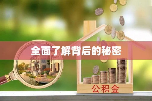 沣东全面了解背后的秘密