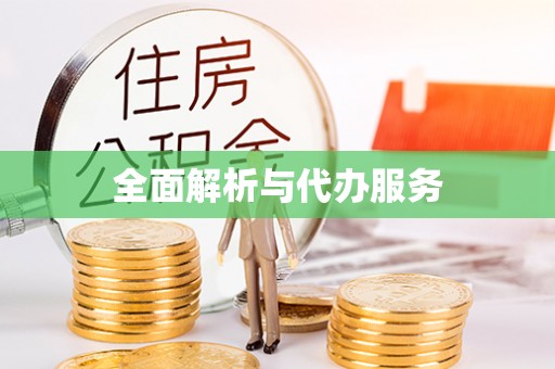 沣东全面解析与代办服务