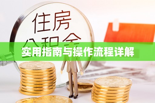 沣东实用指南与操作流程详解