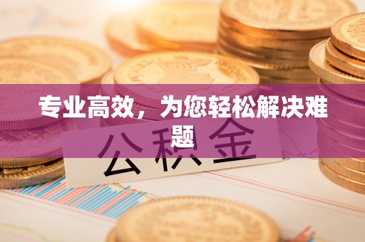 沣东专业高效，为您轻松解决难题