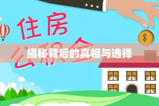 沣东揭秘背后的真相与选择