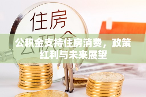 沣东公积金支持住房消费，政策红利与未来展望