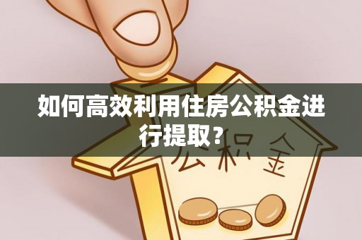 沣东如何高效利用住房公积金进行提取？