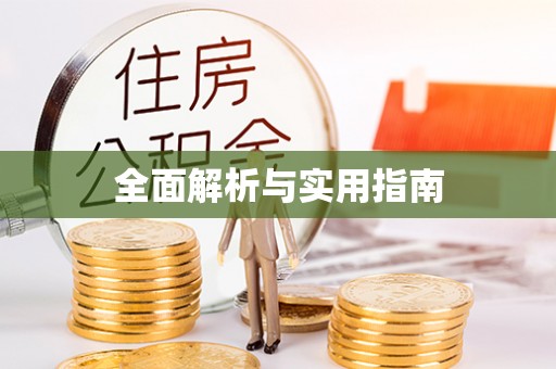 沣东全面解析与实用指南