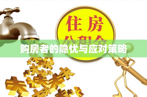 沣东购房者的隐忧与应对策略