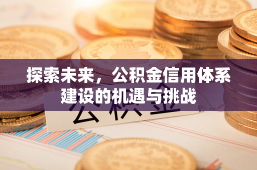 沣东探索未来，公积金信用体系建设的机遇与挑战