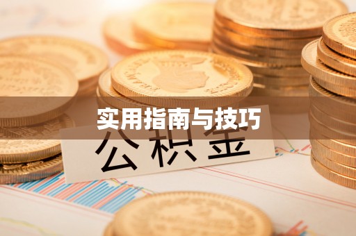 沣东实用指南与技巧