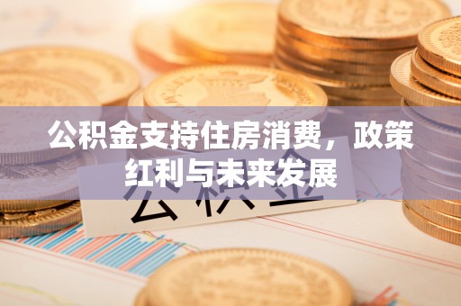 沣东公积金支持住房消费，政策红利与未来发展
