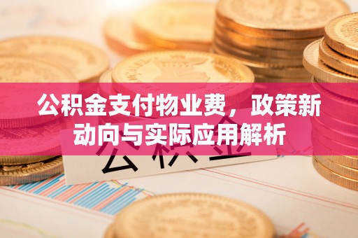 沣东公积金支付物业费，政策新动向与实际应用解析