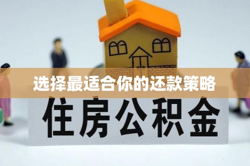 沣东选择最适合你的还款策略