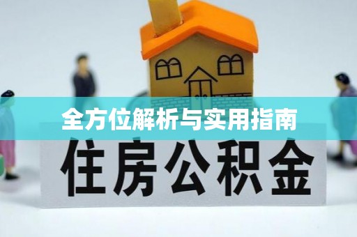 沣东全方位解析与实用指南
