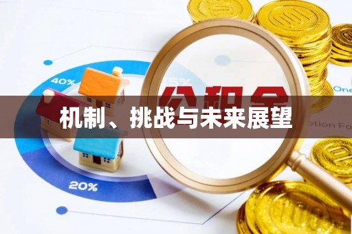 沣东机制、挑战与未来展望
