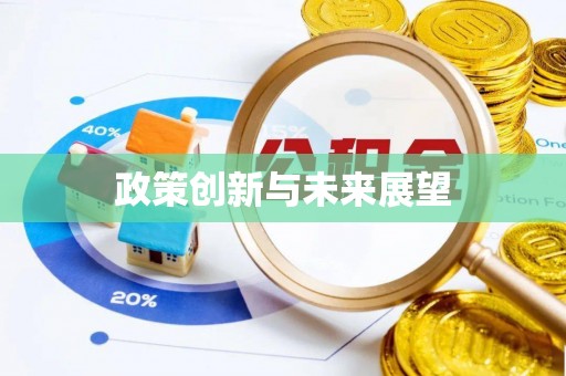 沣东政策创新与未来展望