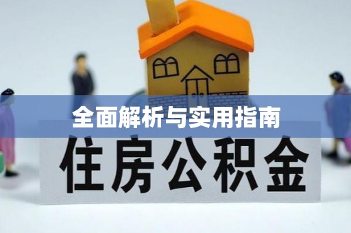 沣东全面解析与实用指南