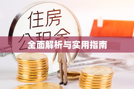 沣东全面解析与实用指南