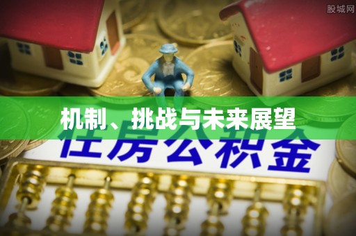 沣东机制、挑战与未来展望
